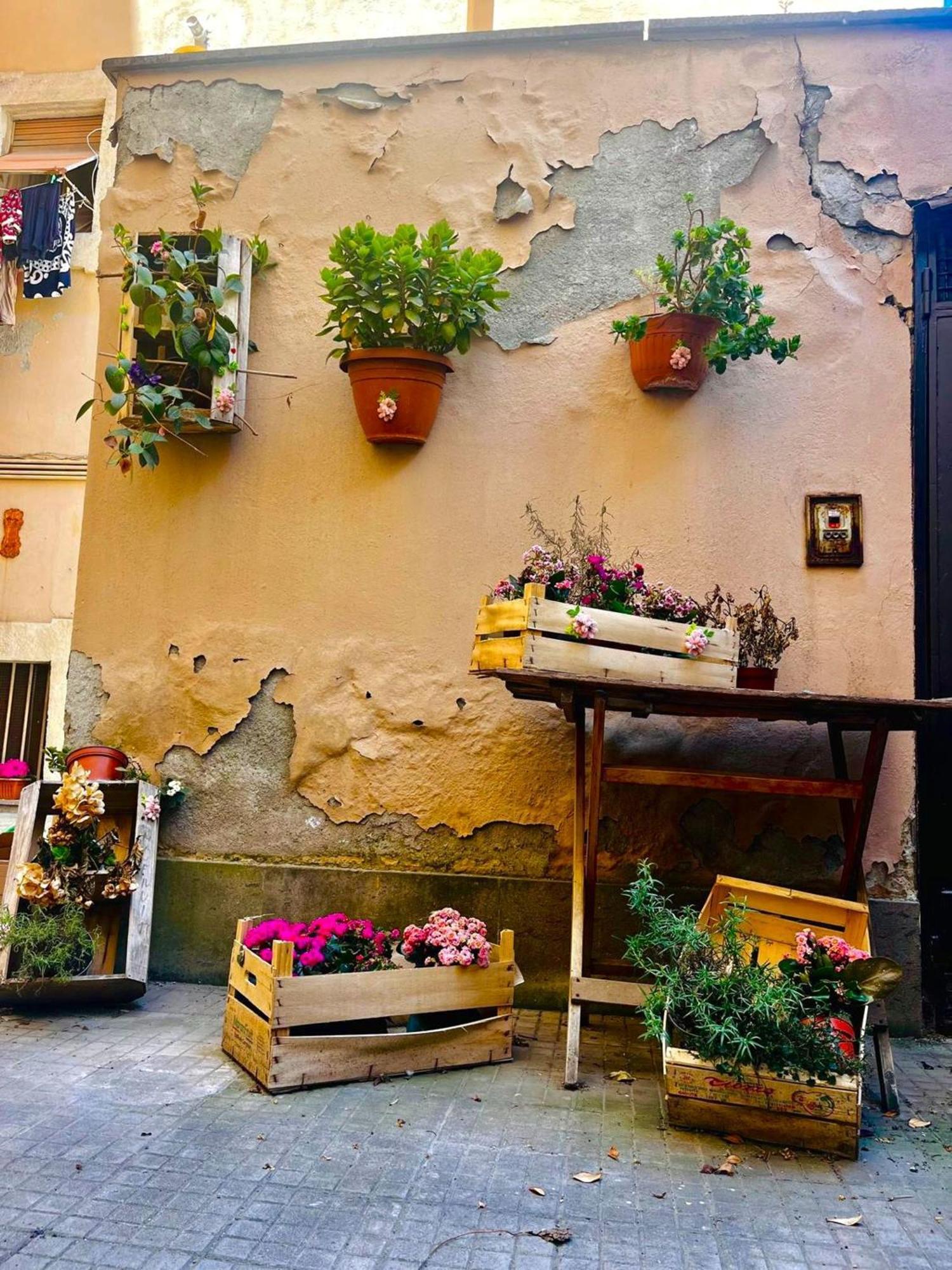 Old Town Nest In Civitavecchia Dış mekan fotoğraf